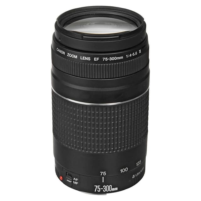 Canon EF 75-300mm f/4-5.6 III Telephoto Zoom Lens for Canon SLR Cameras, 6473A003 (Renewed)