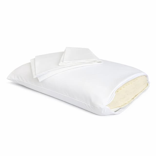 OrganicTextiles 100% Talalay Latex Travel Pillow 16x9x, Organic Cotton Cover, Great for Airplane/Airport, Car, Bus, Train, Camping, Outdoor, Travels