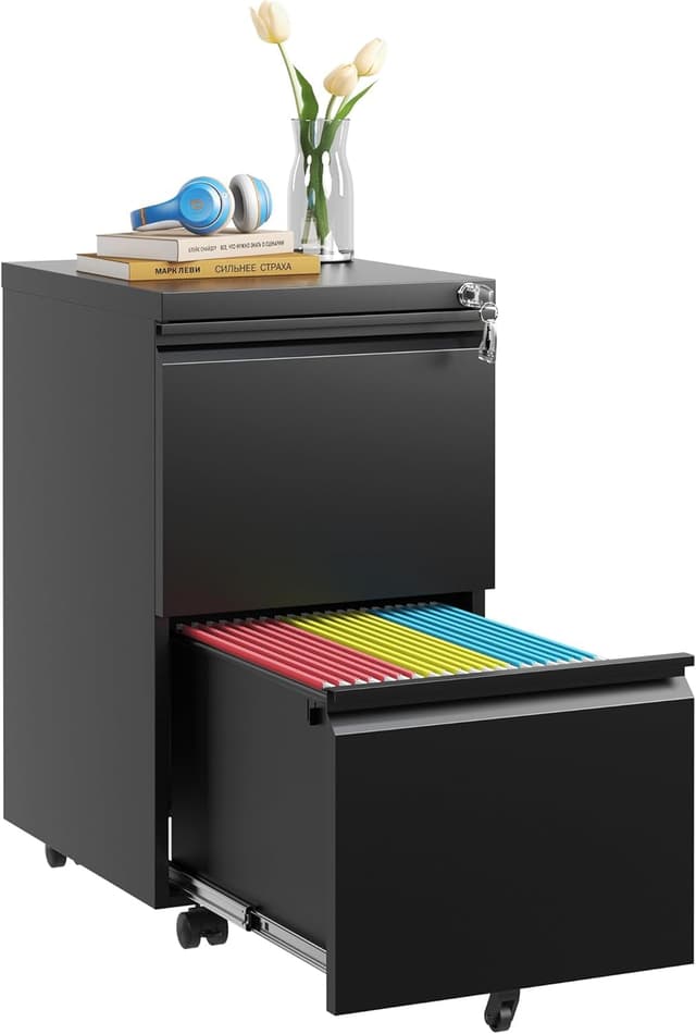 Guizeeopo Fully Assembled 2 Drawer File Cabinet, Locking Full Steel Filing Cabinet, Quiet Slides, Anti-Tipping Wheels, Fits A4/Letter/Legal, for Home & Small Office, Matte Black