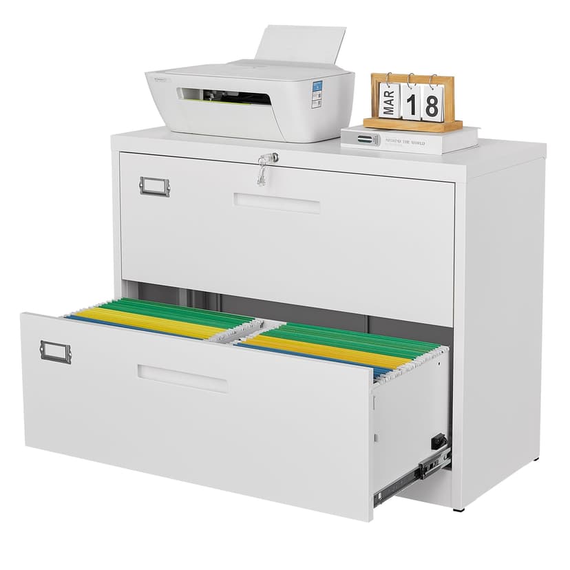 Letaya 2 Drawer Metal Filing Organization Office Cabinets with Lock,Lateral File Cabinets for Home Office Hanging Files Letter/Legal/F4/A4 Size (2 Drawer-White)