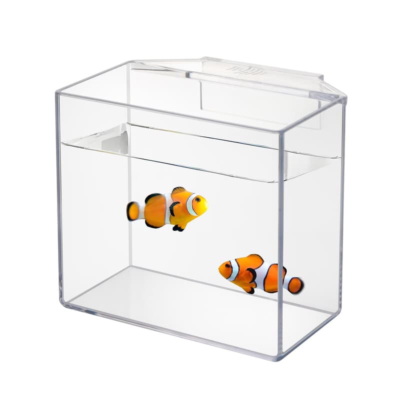 IOAOI Drip Acclimation Container for Fish & Corals – Hanging Acclimation Box for Saltwater & Freshwater Aquariums, Small