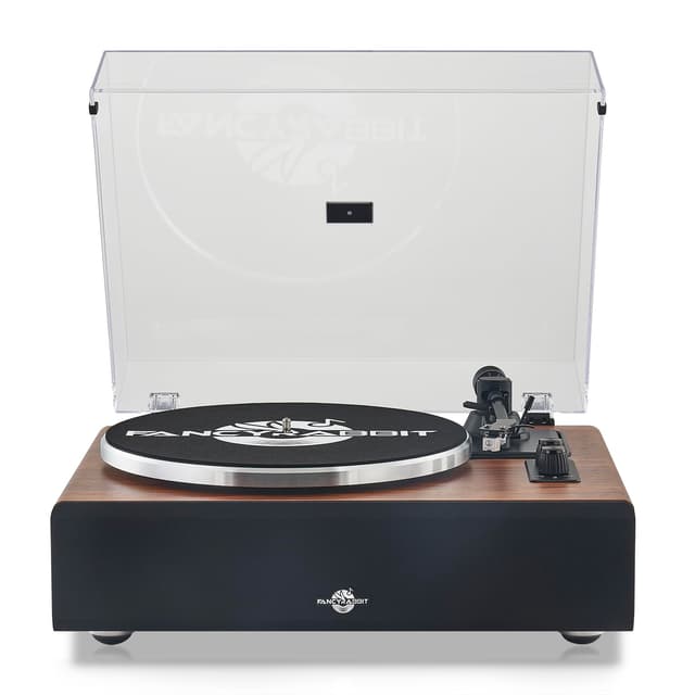 Record Player with Speaker, Vinyl Record Turntable with Magnetic Cartridge for Home Decoration and Entertainment, Vinyl Record Player Suitable for Christmas or Birthday Gift (H2410-Rosewood)