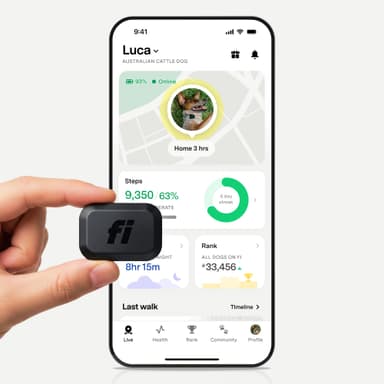 Fi Mini GPS Tracker for Dogs — 6-Month Membership Included — Smart Pet Tracking Collar Attachment — Lightweight, Virtual Fences, Escape Alerts, Step & Health, Waterproof