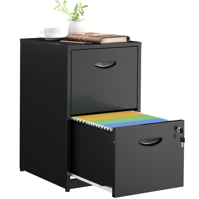 SteeLoong 2 Drawer File Cabinets,Metal Office File Cabinet with Lock,Black Filing Cabinets for Home Office,Vertical Modern File Cabinet Office Two Drawers for Hanging Letter,Assembly Required