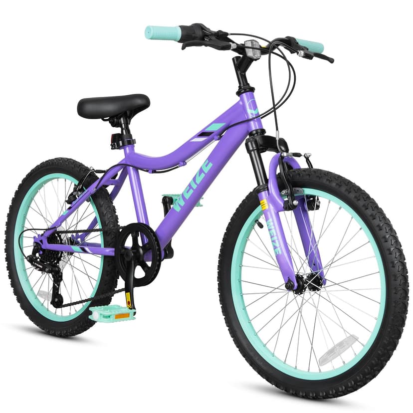WEIZE 20 Inch Kid Mountain Bike,Kid Bike for Girls Age 6-14 Year Old,6 Speed Kid Bicycle with Front Suspension Fork,Adjustable Seat Height,High-Carbon Steel Frame,Ideal for Girl Adventurers,Purple
