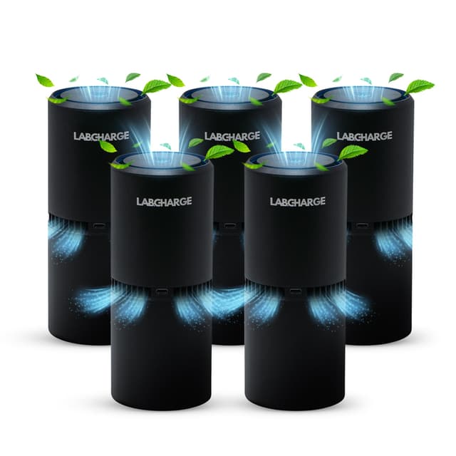 LabCharge Small Ionic Air Purifier for Home & Bedroom – Silent HEPA Filter – Covers 250 Sq Ft - Free Cleaner for Pets, Hair, Smoke, Dust, Odors & Dander – Compact & Black Design - Pack of 5