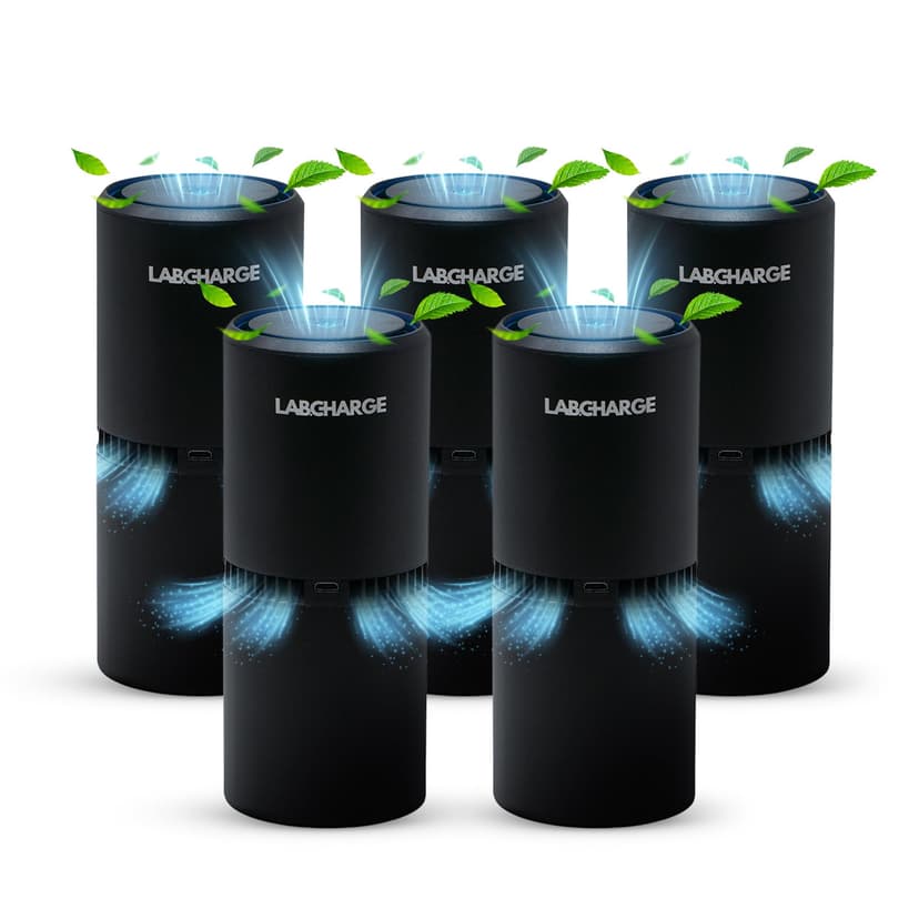 LabCharge Small Ionic Air Purifier for Home & Bedroom – Silent HEPA Filter – Covers 250 Sq Ft - Free Cleaner for Pets, Hair, Smoke, Dust, Odors & Dander – Compact & Black Design - Pack of 5