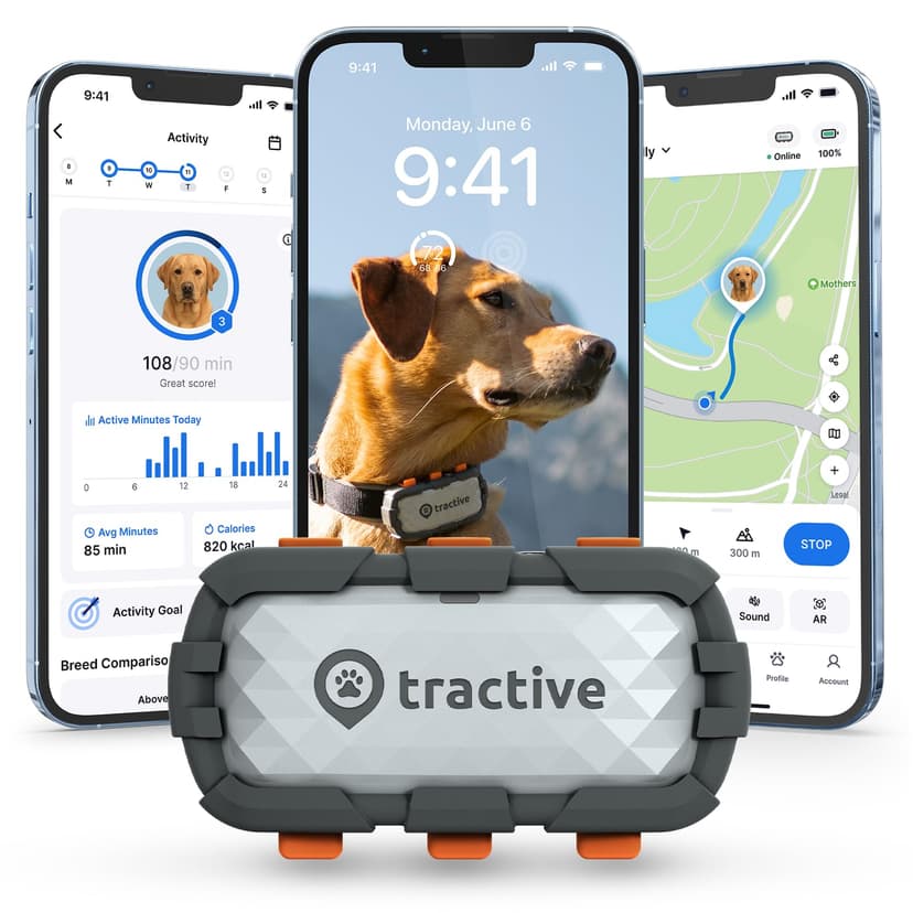 Tractive XL Smart Dog GPS Tracker | Live Pet Tracker with Virtual Fence | Vital Signs Monitoring of Heart & Respiratory Rate | Up to 1-Month Battery Life | Dog Collar Attachment (Adventure Edition)