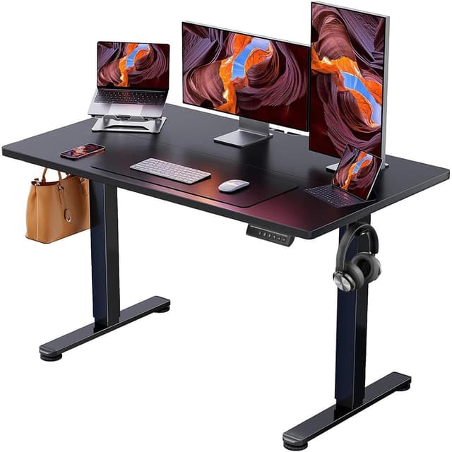 ErGear Height Adjustable Electric Standing Desk, 47.2 x 23.6 Inches Sit Stand up Desk, Memory Computer Home Office Desk (Black)