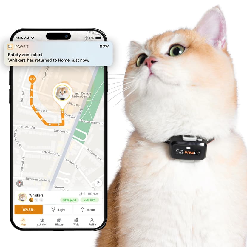 Pawfit Lite for Cats 4g GPS Tracker | Ultra-Small (<18g) Design | Real-Time Tracking | Activity Monitoring | Location History | Unlimited Range | Safety Collar Included | Onyx Black