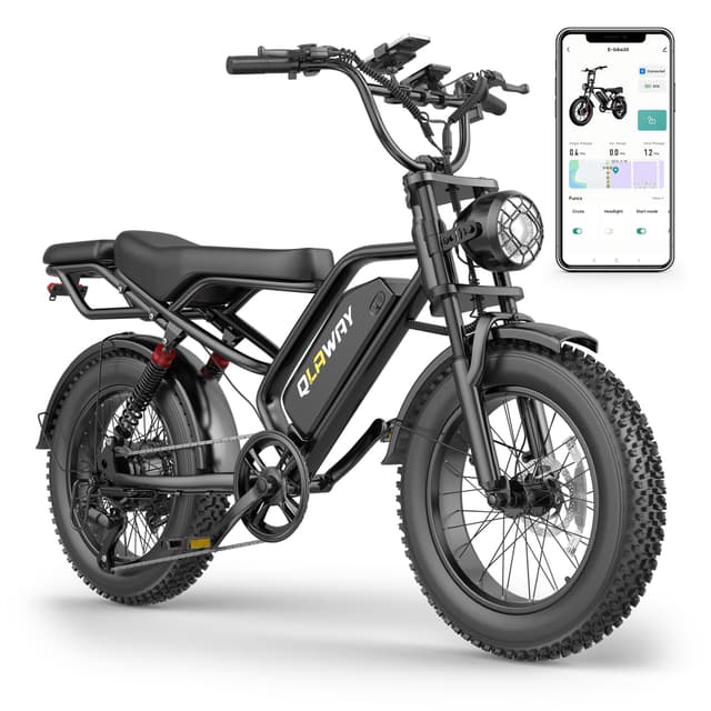 Qlaway 20" Fat Tire Electric Bikes for Adults, 750w Electric Dirt Bike with Full Suspension, 48V 18AH Battery Moped, 31MPH(50KM/H) Max Speed, 40-70 Miles Long Range Motorcycle Ebikes