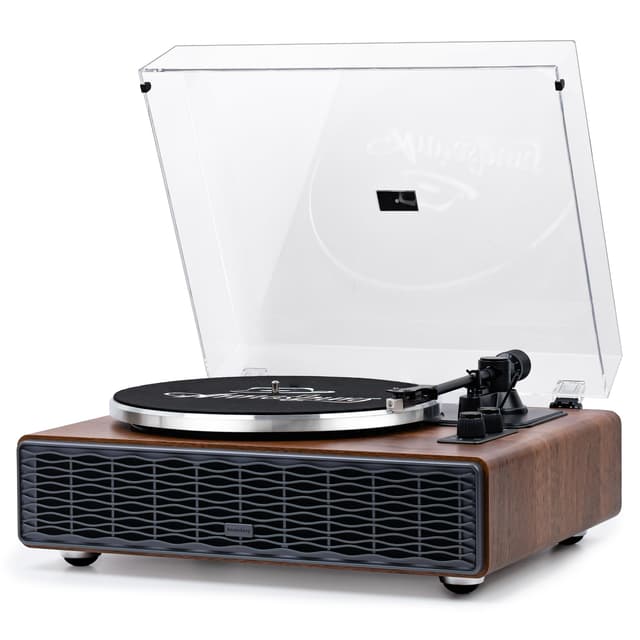 Annesburg Vinyl Record Player, Bluetooth Turntable with Built in Speakers for Vinyl Records, High Fidelity Belt Drive 33/45 RPM, Magnetic Cartridge AT-3600L, Retro Wood Design