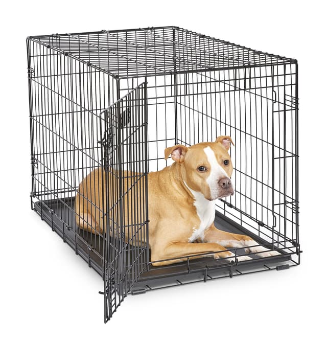 MidWest Homes for Pets 36-Inch iCrate for Medium-Large Breeds, 41-70 lbs, Single Door Folding Dog Crate with Divider Panel, Leak-Proof Tray & Secure Latches, Portable, Durable & Easy to Assemble