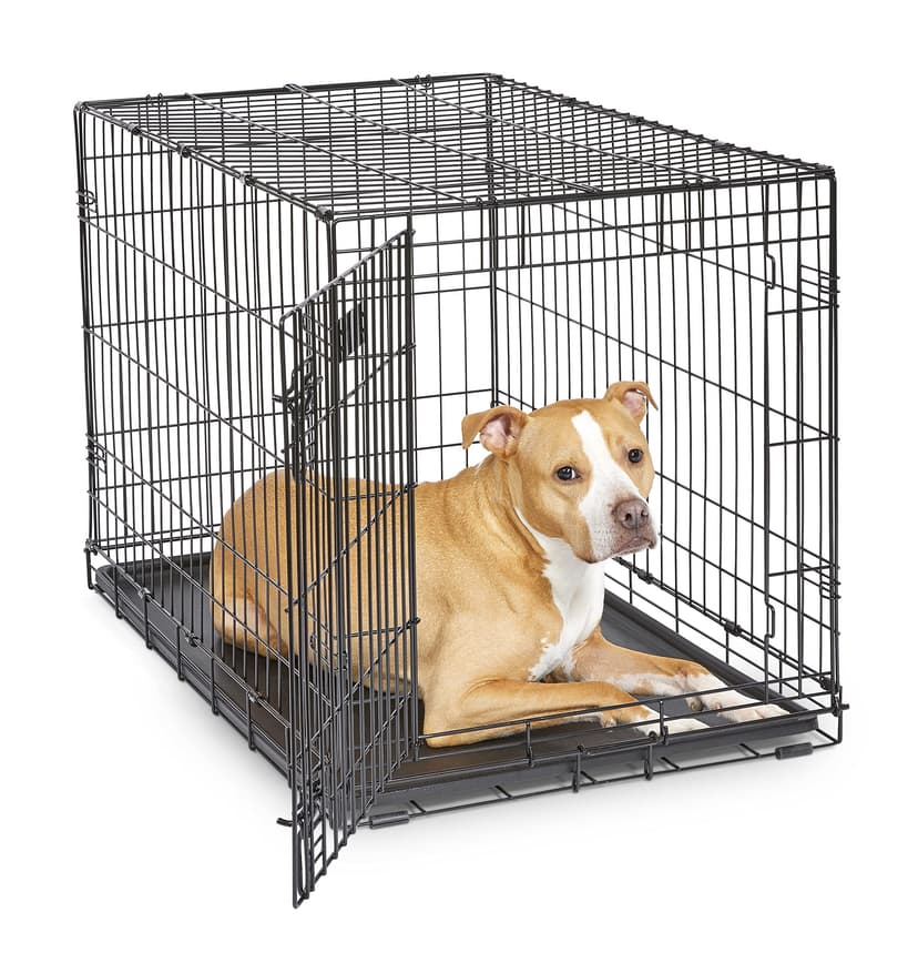 MidWest Homes for Pets 36-Inch iCrate for Medium-Large Breeds, 41-70 lbs, Single Door Folding Dog Crate with Divider Panel, Leak-Proof Tray & Secure Latches, Portable, Durable & Easy to Assemble