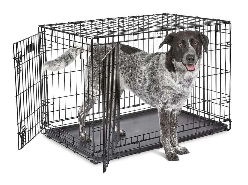 MidWest Homes for Pets 36-Inch iCrate for Medium-Large Breeds, 41-70 lbs, Double Door Folding Dog Crate with Divider Panel, Leak-Proof Tray & Secure Latches, Portable, Durable & Easy to Assemble