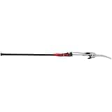 Pole Saw/Pruner