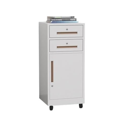 LICONG-2019 File Cabinets Multifunctional File and Archive Cabinet Steel Double Drawer Balcony Bookcase Storage Office with Locking(White)