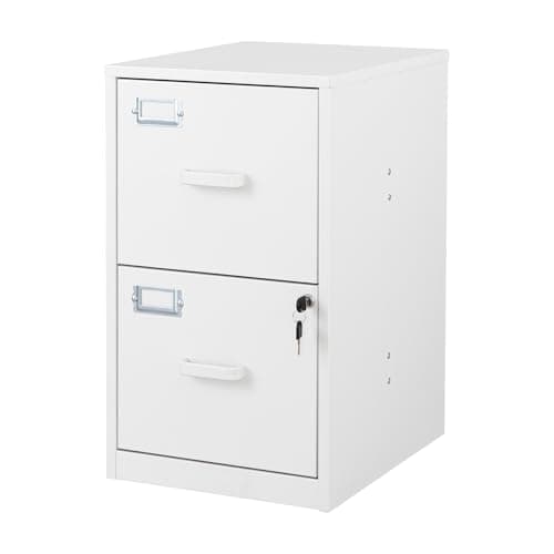 BYNSOE 2 Drawer File Cabinet with Lock Vertical Filing Storage Office Home Steel Vertical File Cabinets for Letter Size File Cabinet Locked,Assembly Required