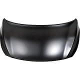 Hood Fits 20-24 VENUE 525944