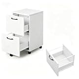 2-Drawer Rolling File Cabinet with Lockable Wheels, Printer Stand with Storage for Home Office