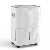 Dehumidifier for Basement