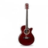 40 Inch Acoustic Folk Guitar for Beginners, Basswood Musical Instrument(Burgundy)