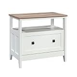 Filing Cabinet for Home Office, File Cabinets Organizer with Large