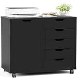5-Drawer Office Storage Mobile File Cabinet with Door and Adjustable Shelf