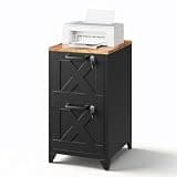 MIIIKO 2 Drawer Metal File Cabinet,Vertical Filing Storage Cabinets with Lock for Home Office