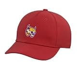 Washington High School of Information Technology Mascot Adjustable Printed Baseball Hat, Red