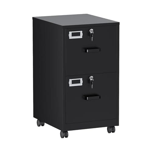 BYNSOE 2 Drawers File Cabinet with Lock Metal Vertical File Cabient with Wheels Mobile File Cabinet for Office Home Legal/Letter/a4 Size Require Assembly