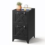 MIIIKO 2 Drawer File Cabinet with Lock, Metal Vertical Filing Storage Cabinets for Home Office(Black)