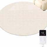 Dalumian Graphene Electric Heating Carpet, Heated Foot Warmers Under Desk, Heated Floor Mat, Heated Area Rugs with Timer Fast Warm Up, Suitable for Yoga/Indoor/Under Desk(B,240 * 240cm)