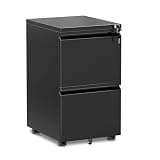 INTERGREAT Mobile File Cabinet with Lock,Under Desk Rolling Metal Filing Cabinet for Home Office, Black 2 Drawer File Cabinets with Wheels for Legal/Letter/A4 File
