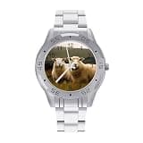 NTVOWPZO Three-Hand Analog Stainless Steel Watches for Men Easy Reader