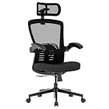 FLEXISPOT OC3-Pro Cloud Ergonomic Office Chair for Big and Tall Black, High Back Office Chair with Flip-up Arm/8-Level Lumbar Support, Foam Seat Cushion, Chairs for Home Office Working Studying Gaming