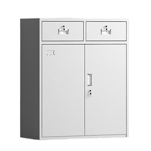 LICONG-2019 File Cabinets Office Steel Filing Cabinets File with Locks Short Cabinet Double Drawer Door Storage