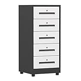 ntumLeap Lockable Vertical File Cabinet with 5 Drawers-Metal Storage for Home & Office-Space-Saving Document for Enhanced Security & Efficiency,