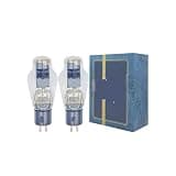 WE300B Plus Tube Upgrade 300B 4300B 7300B 300BT HiFi Audio Amplifier DIY(2pcs Matched Pair)