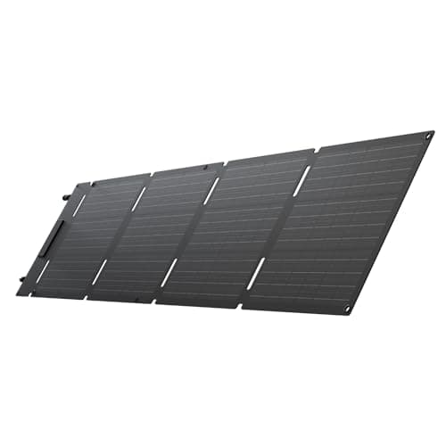 EF ECOFLOW 60W Portable Solar Panel, 25% High Conversion Efficiency N-Type Solar Cell for Power Stations, Camping, Backup Lightweight Foldable Hangable Solar Panel with Snap Hook, IP68 Waterproof