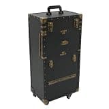 Athzuunn Rolling Lockable Makeup Train Case, Rolling Hairdressing Trolley, Hair Stylist Travel Case with Hairdryer Holder, Salon Cosmetic Luggage Travel Organizer in Black