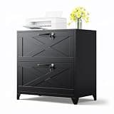 MIIIKO 2 Drawer File Cabinet with Lock,Metal Lateral Filing Storage Cabinets for Home Office,Files Folders Letter/Legal/A4 Size(Black)