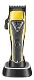 DAXXIN Hair Cutting Tool, Professional Hair Trimmer Electric Hair Cutting Machine Vector Motor Haircut 9000 RPM Clipper for Men
