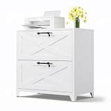 MIIIKO 2 Drawer File Cabinet with Lock,Metal Lateral Filing Storage Cabinets for Home Office,Files Folders Letter/Legal/A4 Size