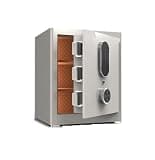 fireproof safe Small Fingerprint Home Safe Digital Safe Box with Touch Screen Keypad Dual Alarm System for Storing Valuables(Silver)