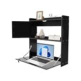 HAOREBAIYU Wall Mounted Fold Down Desk Cabinet with Lockable Storage, 22.8"x7.9"x23.6" Space-Saving Foldable Table for Home Office (Black)
