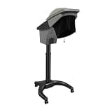BANEBONE Hair Steamer Standing with 7-Color Light, 1700ml Tank