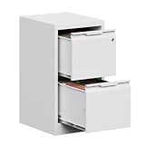 2 Drawer Metal Vertical File Cabinet with Lock for Home Office Letter Legal