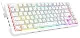 E-YOOSO 75% Wireless Mechanical Gaming Keyboard, Creamy Sound, Hot Swappable Pre-lubed Linear Switches, Gasket Structure, Knob Control, RGB Backlit, Compact Custom for PC, White