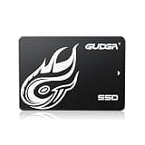 GUDGA SSD 256GB, SATA III 2.5 Inch Internal Solid State Drive, 550MB/s, 3D NAND TLC, for Laptop and Desktop